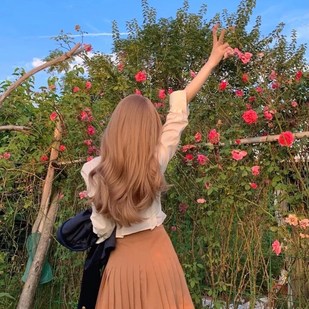 不能触犯的条规